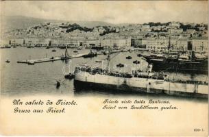 Trieste, Trieszt; Trieste visto dalla Lanterna / Triest vom Leuchtturm gesehen / view from the lighthouse, port, steamships