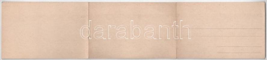 Genova, Genoa; 3-tiled folding panoramacard with port, railway station, steamships. Ed. Vierbücher, ...