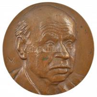 Váró Márton (1943-) ~1986-1996 Balogh Edgár kétoldalas bronz plakett (90mm) T:1- kis patina