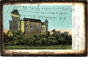 1909 Maria Enzersdorf, Schloß Liechtenstein / castle (EB)