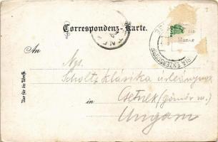 1909 Maria Enzersdorf, Schloß Liechtenstein / castle (EB)