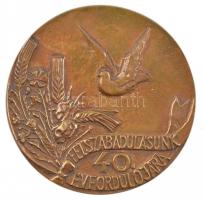 1985. Felszabadulásunk 40. évfordulójára egyoldalas, öntött bronz emlékérem. Szign.: BB (91mm) T:1-