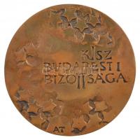 Asszonyi Tamás (1942- ) DN "Kiváló Propaganda Munkáért / KISZ Budapesti Bizottsága" kétold...