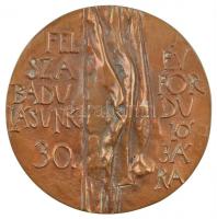 ~1970-1980. Felszabadulásunk 30. évfordulójára egyoldalas, öntött bronz plakett T:1-