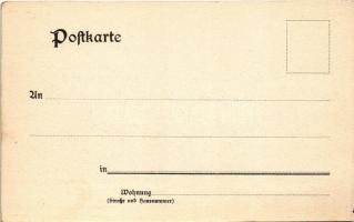 Berlin, Elektrische Hochbahn am Halleschen Ufer / elevated railway, train. Verlag Wilhelm Greve No. ...