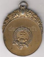 1896 Kerékpáros  sportérem   ezüst T:1