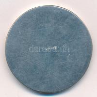 DN "CONCORDIA RELIGIONUM ANIMATA LIBERTATE" egyoldalas fém emlékérem másolat, hátoldalon &...