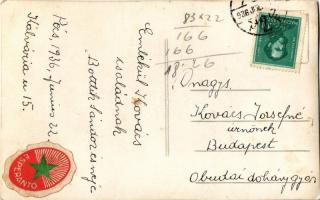 1936 Pécs, Bottlik Sándor és neje házuk kertjében eszperantó zászlóval. Hátoldalon eszperantó levélz...