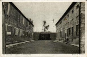 Oswiecim, Auschwitz; WWII German Nazi concentration camp. Execution place in the courtyard of Block 11 (EK)