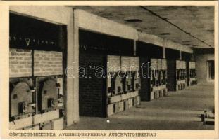 Oswiecim-Brzezinka, Auschwitz-Birkenau; WWII German Nazi concentration camp. Crematorium furnaces (lyuk / hole)