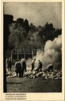 Oswiecim-Brzezinka, Auschwitz-Birkenau; WWII German Nazi concentration camp. Cremation of corpses on pyres