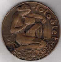 1942 Fotoélet Nagyváradi Ujvidéki Kiállitás  érem T:1