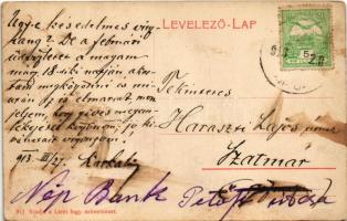 1913 Lice, Licince; Czékus kastély / castle (EK)