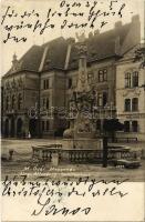 1904 Magyaróvár, Mosonmagyaróvár; Megyeház, Szentháromság szobor, Fekete Sas Szálloda. photo