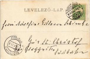 1904 Magyaróvár, Mosonmagyaróvár; Megyeház, Szentháromság szobor, Fekete Sas Szálloda. photo