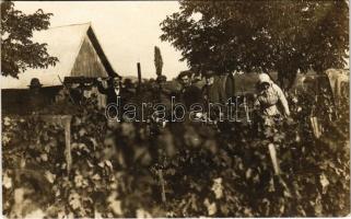 1923 Szekszárd, szüret a szőlőhegyen, szőlőprés. photo (fa)