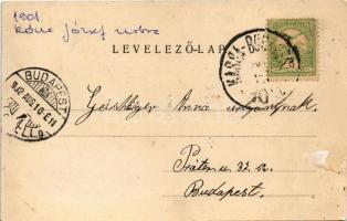 1902 Gödöllő, Az Erzsébet (Sissi) szobor leleplezési ünnepe, a királyi család megérkezése, Ferenc Jó...