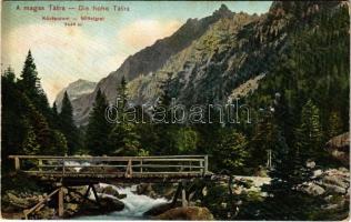 Tátra, Magas-Tátra, Vysoké Tatry; Középorom, fahíd. Dr. Trenkler Co. 1906. Tát. 5. / Mittelgrat / mountain peak, wooden bridge (EK)