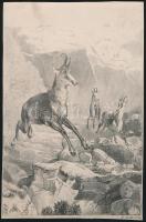 l. Tüstel 1856 jelzéssel: Kőszáli kecskék. Ceruza, papír. 24x15 cm