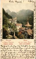 1901 Tátra, Vysoké Tatry; Tarpataki szállodák. Divald Károly 318. / Hotels in der Kohlbach (EK)