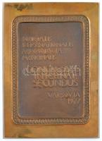 Lengyelország 1977. SOCIETATIS INTERNATIONALIS AEROSOLOGIAE MEDICINALIS - CONGRESSUS INTERNAT SECUNDUS - VARSOVIA 1977 egyoldalas, öntött bronz plakett (148,5x105mm) T:1-