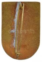 ~1930. "Goldberger SE (Sportegyesület)" zománcozott sísport bronz jelvény (30x20mm) T:1-