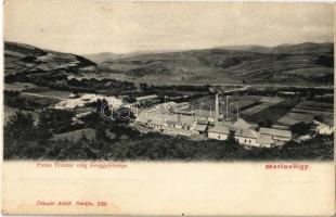 Máriavölgy, Sárosmáriavölgy (Kőtelep, Kruzslyó, Kruzlov); Pausz Tivadar cég üveg gyár telepe. Divald Adolf 193. / glass factory