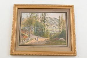Jelzés nélkül: Alpesi táj sétálókkal. Akvarell, papír, jelzett. Üvegezett, dekoratív, kissé sérült fakeretben, 22x30 cm
