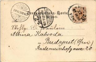 1899 (Vorläufer) Wien, Vienna, Bécs; Hofoper / opera house, tram. Edgar Schmidt (EK)