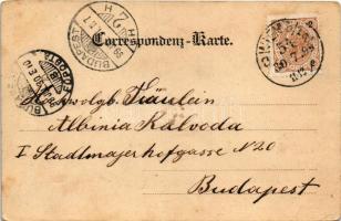 1899 (Vorläufer) Wien, Vienna, Bécs; Margarethen-Platz und Hof mit Wiener Terrassen-Café / square, c...