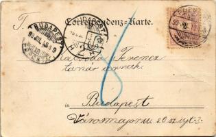 1899 (Vorläufer) Wien, Vienna, Bécs; Am Hof. Phot. Ch. Scolik (fa)