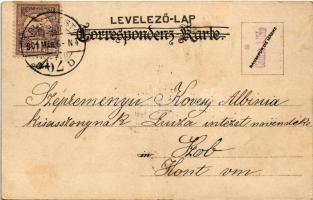 1901 Hallstatt, Hallstadt; litho (EK)