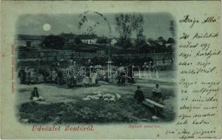 1900 Zenta, Senta; Népkerti artézi kút. Straub Ödön kiadása / well, park (EK)