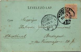 1900 Aknaszlatina, Akna Slatina, Slatinské Doly, Szolotvino, Solotvyno; Sóbánya. Mayer és Berger kia...