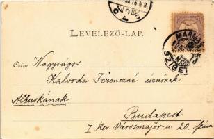 1900 Huszt, Chust, Khust; várrom. Üdvözlet Máramarosból. Kaufmann Ábrahám kiadása / castle ruins (vá...