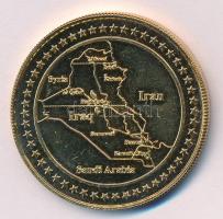 Amerikai Egyesült Államok 1991. "Koalíciós erők" kétoldalas, aranyozott emlékérem (39mm) T...