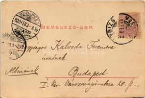 1900 Romoly, Romuli (Máramaros); Hoffmann-féle gőz és turbina fűrész telep, népviselet. Kaufmann Ábr...