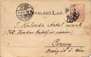 1899 (Vorläufer) Máramaros, Maramures; Erdőőri lak Máramarosban. Mayer és Berger kiadása / forester&...