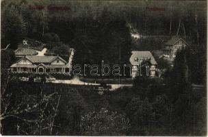 1911 Ponyászka, Poneasca (Bozovics, Bozovici); János és Júlia lak / villas