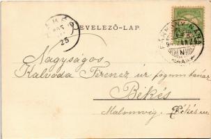 1905 Párkánynána, Párkány-Nána, Parkan, Stúrovo; vasútállomás, gőzmozdony, vonat. Kardos Dezső kiadá...