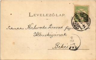 1903 Nagyszombat, Tyrnau, Trnava; Alsó Fő utca, üzletek / main street, shops (kis szakadás / small t...