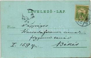 1904 Léva, Levice; Kórház, Báti út, látkép, vár, főgimnázium, Takarékpénztár, Hitelintézet háza, Nyi...