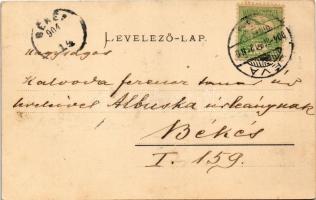 1904 Léva, Levice; várrom. Schulcz Ignác kiadása / Levicky hrad / castle ruins