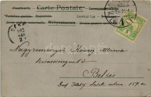 1902 Art Nouveau lady. Emb. litho (EK)