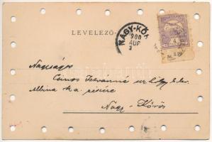 1900 Hölgy igazi hajas rátéttel / Lady with real hair. litho (lyukasztott / punched holes)