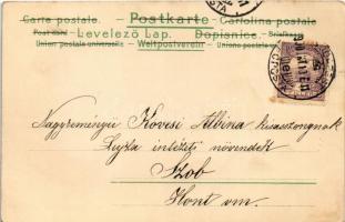 1900 Art Nouveau lady. litho