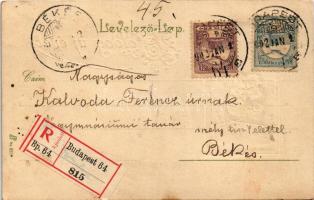 1902 Boldog Újévet! / New Year greeting art postcard with clovers. Emb. litho (fl)