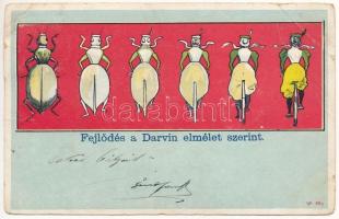 1900 Fejlődés a Darwin elmélet szerint / Darwins evolution theory, humour, bug - lady on bicycle (EB)