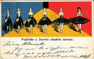 1900 Fejlődés a Darwin elmélet szerint / Darwins evolution theory, humour, bottle of champagne - ballet dancer (kopott sarkak / worn corners)