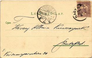 1900 Fejlődés a Darwin elmélet szerint / Darwin's evolution theory, humour, bottle of champagne...